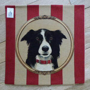 Coussin Chien Border Collie -- 45x45cm-11425