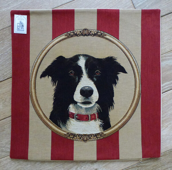 Coussin Chien Border Collie -- 45x45cm-11425