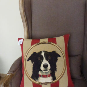 Coussin Chien Border Collie -- 45x45cm-11426