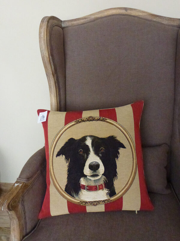 Coussin Chien Border Collie -- 45x45cm-11426